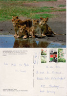 KENYA 1983 AIRMAIL POSTCARD SENT TO FLENSBURG - Kenia (1963-...)