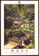 INDONESIE BALI 11 X 16 CM THE HOLY SPRING AT SEBATU JUST TO THE NORTH OF UBUD - Indonésie