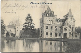 Nettinne   *  Château De Nettinne - Somme-Leuze