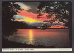 112655/ Killarney National Park, Sunset Over Muckross Lake - Kerry