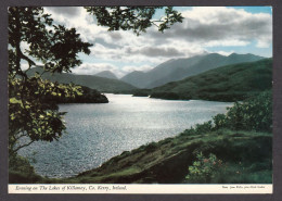 112650/ Killarney National Park, Evening On The Lakes  - Kerry