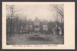 104115/ BRUXELLES, Notre-Dame Du Roule, Ecole Gratuite - Education, Schools And Universities