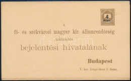 1900 Használatlan Felülnyomott Díjjegyes Rendőrségi Bejelentő Lap összefüggő Igazoló Szelvénnyel (Hodobay 7), Kiváló Min - Sonstige & Ohne Zuordnung