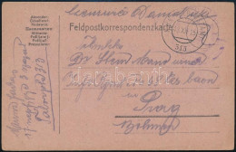 1915 Tábori Posta Levelezőlap "FP 313" - Sonstige & Ohne Zuordnung
