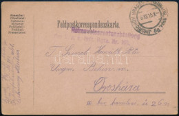 1915 Tábori Posta Levelezőlap "Rekonvaleszentenabteilung Des K.u.k. Inft. Rgts. Nr.101" - Sonstige & Ohne Zuordnung