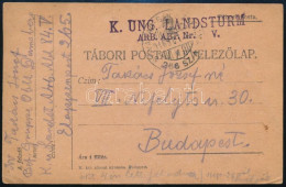 1916 Levelezőlap "SÓVÁRAD-BALÁZSFALVA / 266 SZ." Mozgóposta Bélyegzéssel - Sonstige & Ohne Zuordnung