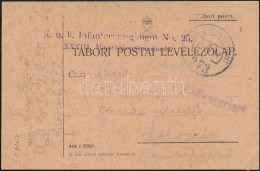 1917 Tábori Posta Levelezőlap "K.u.K. Infanterieregiment No.25." + "EP 273" - Autres & Non Classés