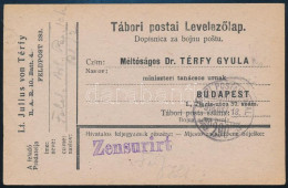1918 Tábori Posta Levelezőlap "TP 290" - Sonstige & Ohne Zuordnung