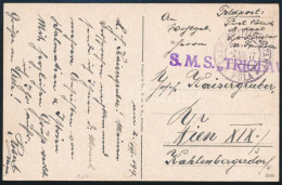 1917 Tábori Posta Képeslap "S.M.S. TRIGLAV" - Sonstige & Ohne Zuordnung