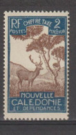 Nelle CALEDONIE : Cerf Et Niaouli - Strafport