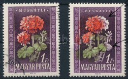 ** 1950 Virág I. 1Ft Elcsúszott Piros és Zöld Színnyomat + Támpéldány / Mi 1115 Shifted Red And Green Colour - Autres & Non Classés