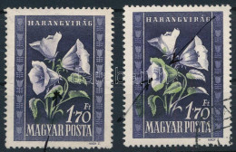 O 1950 Virág I. 1,70Ft Elcsúszott Zöld Színnyomattal + Támpéldány / Mi 1116 With Shifted Green Colour - Altri & Non Classificati