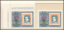 ** 1971 Bélyegnap (44.) - Budapest '71 2+1Ft A Középrész Elcsúszásával, Eddig Nem Ismert Tévnyomat - Otros & Sin Clasificación