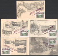 1995/E1a Erdélyi Kiadású Hohe Rinne Centenárium 5 Klf Carte Maximum Emlékívből Származó Bélyegekkel / Souvenir Sheet Col - Autres & Non Classés