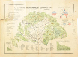 1920 Magyarország Gazdaságföldrajzi Térképe Dr. Teleki Pál Gróf és Dr. Cholnoky Jenő Közreműködésével Hivatalos Adatok A - Otros & Sin Clasificación