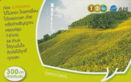 PREPAID PHONE CARD TAILANDIA (CK1230 - Thaïlande