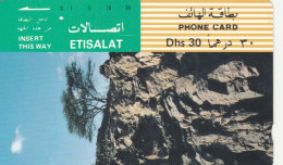 PHONE CARD EMIRATI ARABI (CK1441 - Emirats Arabes Unis