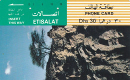 PHONE CARD EMIRATI ARABI (CK1424 - Emirats Arabes Unis