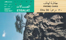 PHONE CARD EMIRATI ARABI (CK1422 - Emirats Arabes Unis