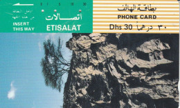 PHONE CARD EMIRATI ARABI (CK1421 - Emirats Arabes Unis