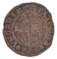 1527L-K Denár Ag "II. Lajos" (0,56g) T:UNC Patina Hungary 1527L-K Denar Ag "Louis II" (0,56g) C:UNC Patina Huszár: 841., - Unclassified