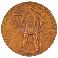 Berán Lajos (1882-1943) ~1930. "Országos Testnevelési Tanács" Bronz Emlékérem (60mm) T:XF,VF Durva Ph. - Non Classificati