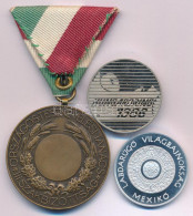 Berán Lajos (1882-1943) 1931. "Országos Testnevelési Tanács - III. Szakbizottság" Bronz Díjérem Mellszalagon (44mm) + Bo - Non Classés