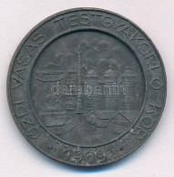 1909. "Ózdi Vasas Testgyakorló Kör 1909 - II. Díj" Fém Díjérem "LUDVIG BP" Gyártói Jelzéssel (34mm) T:XF - Non Classificati