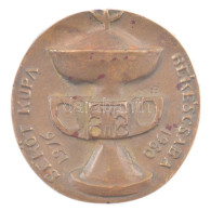 1980. "Békéscsaba - Béköt Kupa 1976-1980." Egyoldalas Bronz Sport Emlékérem (75mm) T:1- - Ohne Zuordnung