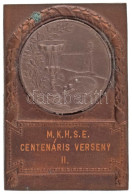 DN Bronz Asztalitenisz Díjplakett Zn Rátéttel, "M.K.H.S.E. Centenáris Verseny II" Gravírozással (60x40mm) T:AU Patina - Non Classificati