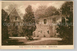 42680523 Nimbschen Kloster Ruine Grimma - Grimma