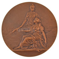 Franciaország ~1900-1910. "Ipar és Mezőgazdaság" Bronz Emlékérem. Szign.: Lucien Coudray (50mm) T:AU Kis Patina France ~ - Ohne Zuordnung