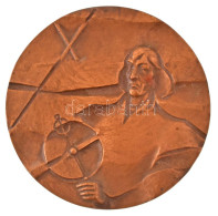 Lengyelország DN "Kopernikusz Múzeum, Frombork" Kétoldalas Bronz Emlékérem (69mm) T:XF Felül Rögzítés Céljából átfúrva P - Sin Clasificación