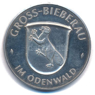 Németország DN "Gross-Bieberau Im Odenwald" Ag Emlékérem (19,85g/0.986/35mm) T:XF (PP) Germany ND "Gross-Bieberau Im Ode - Non Classificati