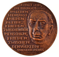 Németország 1994. "Német Hadisírok Bizottsága / Theodor Heuss" Kétoldalas Bronz Emlékérem (83mm) T:XF Szennyeződés Germa - Zonder Classificatie