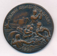 1954. "Dunai árvízvédelemért" Br Jelvény, Tű Letört (37mm) T:1,1- - Ohne Zuordnung