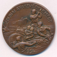 1954. "Dunai árvízvédelemért" Bronz Jelvény Tű Nélkül (37mm) T:XF - Zonder Classificatie