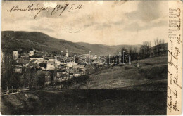 T3 1907 Abrudbánya, Abrud; Látkép / General View (ázott Sarok / Wet Corner) - Sin Clasificación