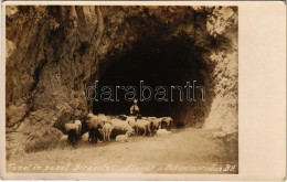 ** T2 Békás-szoros, Cheile Bicazului; Alagút, Birkapásztor Nő / Tunnel. Photo - Ohne Zuordnung