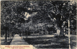 T2/T3 1918 Bikszád-fürdő, Baile Bixad; Park Részlet, Sugárút. Divald Károly Fia Kiadása / Park, Road (EK) - Non Classificati