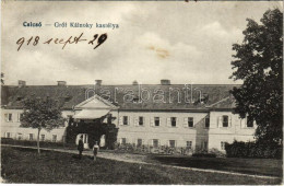 * T2/T3 1918 Csicsó, Cícov; Gróf Kálnoky Kastély / Castle (Rb) - Ohne Zuordnung