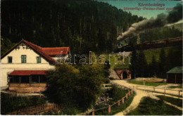 T4 1913 Körmöcbánya, Kremnitz, Kremnica; Zólyomvölgy, Ferenc József Nyaraló, Vasút, Gőzmozdony. Ritter Sándor Kiadása /  - Unclassified