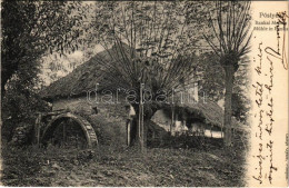 T2/T3 1907 Pöstyén, Pistyán, Piestany; Bankai Malom. Lampl Gyula Kiadása / Mühle In Banka / Mill (EK) - Unclassified