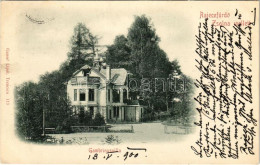 * T2/T3 1900 Rajecfürdő, Rajecké Teplice; Gambrinus Villa. Gansel Lipót Kiadása / Villa (EK) - Unclassified