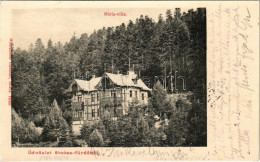 T2 1904 Stószfürdő, Stoósz-fürdő, Kúpele Stós; Mária Villa. Wlaszlovits Gusztáv Kiadása / Villa - Non Classés