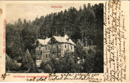 T2/T3 1904 Stószfürdő, Stoósz-fürdő, Kúpele Stós; Mária Villa. Wlaszlovits Gusztáv Kiadása / Villa (fl) - Sin Clasificación