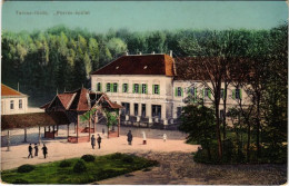 T2 1912 Tarcsafürdő, Bad Tatzmannsdorf; Forrás-épület / Hotel / Spa - Sin Clasificación