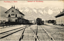 T2/T3 1907 Puchberg Am Schneeberg, Bahnhof Mit Schneeberg / Railway Station, Train - Ohne Zuordnung