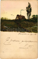 T2/T3 1905 Nowe Selo, Nowe Siolo Kolo Stryja, Neudorf Bei Stryj; Kézzel Festett / Haind Painted (EK) - Sin Clasificación