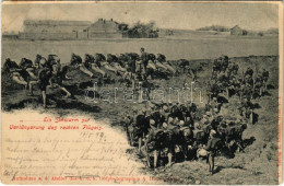 T2/T3 1899 (Vorläufer) Ein Schwarm Zur Verlängerung Des Rechten Flügels / Austro-Hungarian K.u.K. Military Infantry Fiel - Sin Clasificación